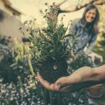 Help Your Garden Come Alive: Using a Flower Gardening Magazine?