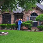 How To Take Care Of Trees And Bushes