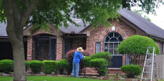 How To Take Care Of Trees And Bushes