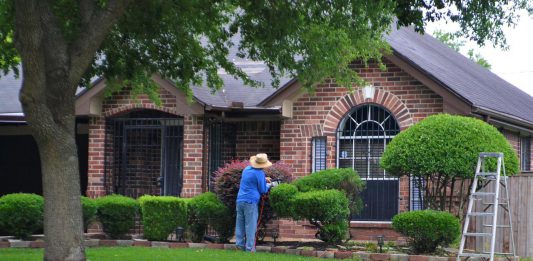How To Take Care Of Trees And Bushes How To Take Care Of Trees And Bushes